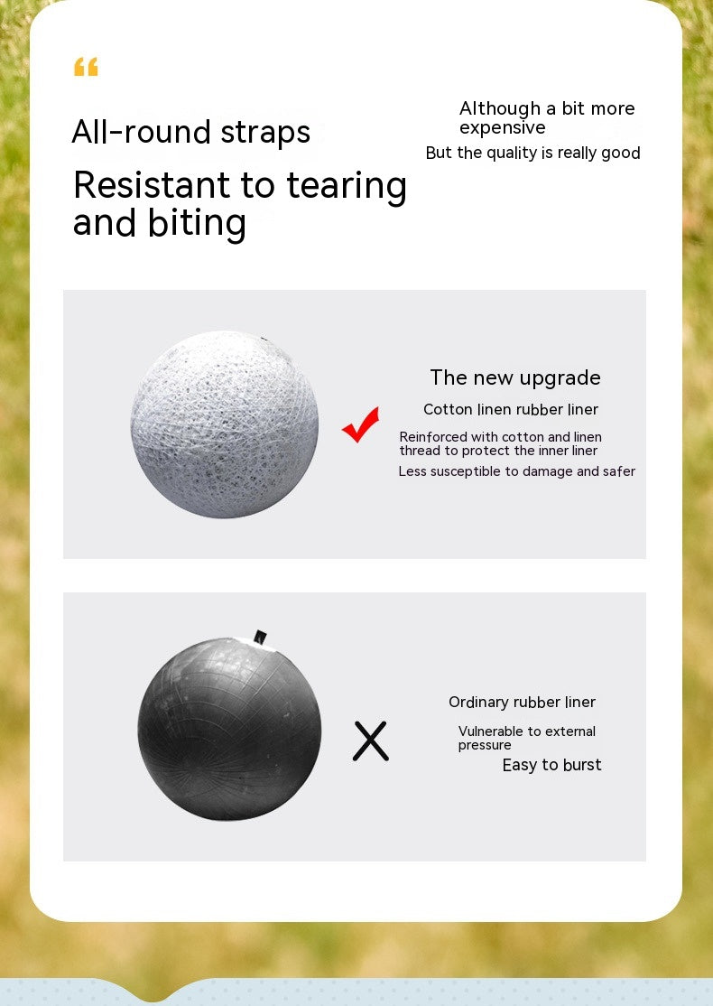 Interaktiv Fotbollsleksak för Hund – Lek, Träning & Glädje ⚽🐶