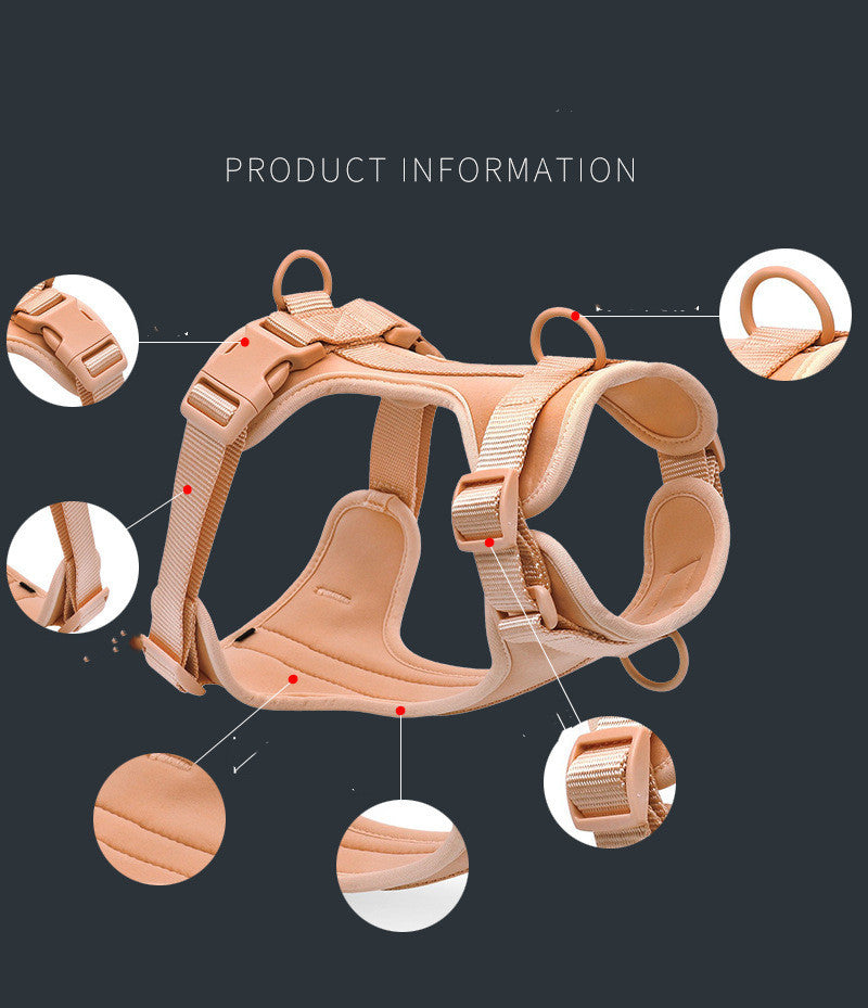 Matchande halsband, sele & koppel – för stilfulla äventyr