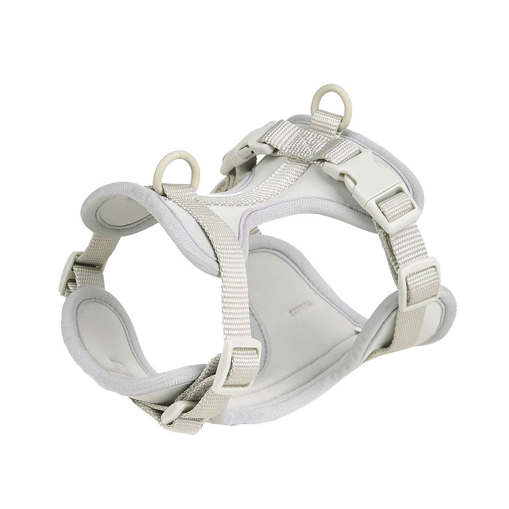 Matchande halsband, sele & koppel – för stilfulla äventyr