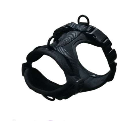 Matchande halsband, sele & koppel – för stilfulla äventyr